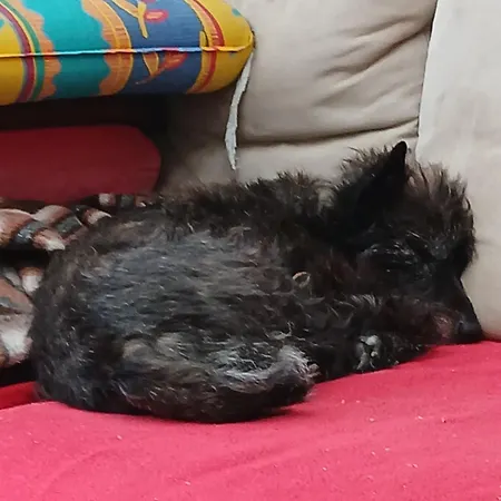 Hotel Erstes Haus Am Platze Duisburg